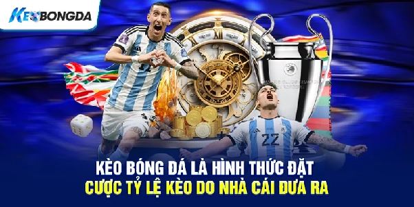 Kèo Bóng Đá Hôm Nay – Cách Đọc Tỷ Lệ Và Phân Tích Trận Đấu Hiệu Quả