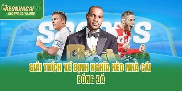 Phân Tích Kèo Nhà Cái 18: Những Điều Cần Biết