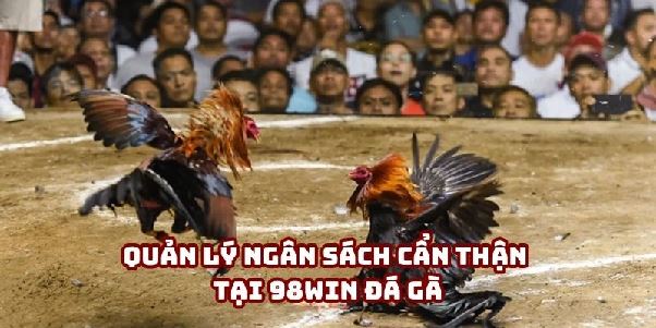 98win Đá Gà: Tìm Hiểu Cách Tham Gia Và Chiến Thắng 98win Đá Gà: Tìm Hiểu Cách Tham Gia Và Chiến Thắng