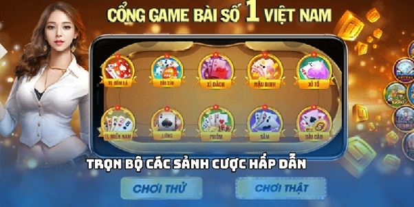 Shbet - Tìm Hiểu Lý Do Khiến Nhà Cái Được Người Chơi Yêu Thích