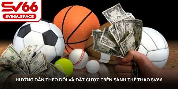Thể thao SV66 – Nơi mọi fan bóng đá, bóng rổ đều mê mẩn Thể thao SV66 – Nơi mọi fan bóng đá, bóng rổ đều mê mẩn
