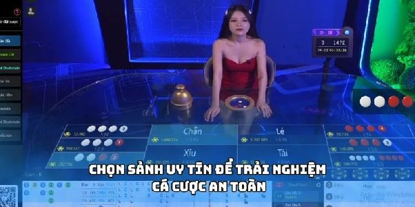 Tài Xỉu – Luật Chơi Rõ Ràng Giúp Bạn Cứ Chơi Là Sẽ Thắng Lớn