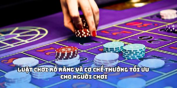 Tỷ Lệ Cá Cược - Khơi Nguồn Đam Mê Giải Trí Đinh Cao