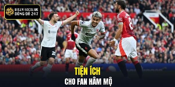 Socolive - Trang Web Tra Cứu Lịch Thi Đấu Chính Xác