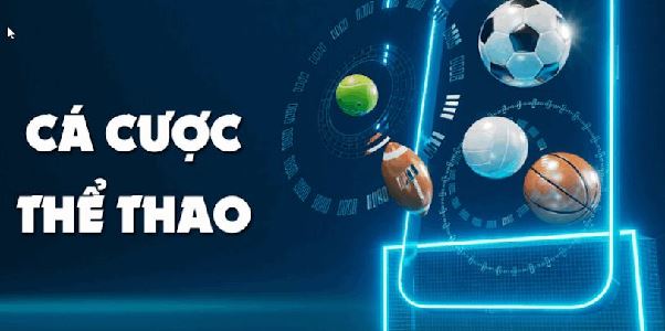 Thể Thao TK88 - Kinh Nghiệm Cá Cược Hiệu Quả Cho Người Mới
