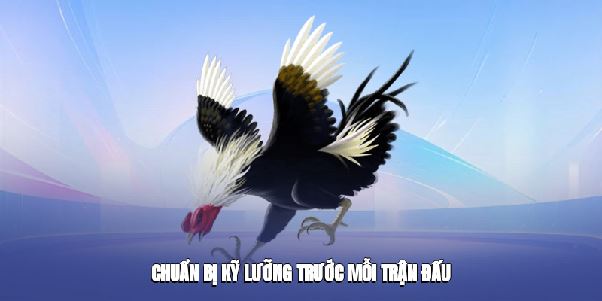 Đá Gà S8club – Tận Hưởng Những Cuộc Đối Đầu Căng Thẳng