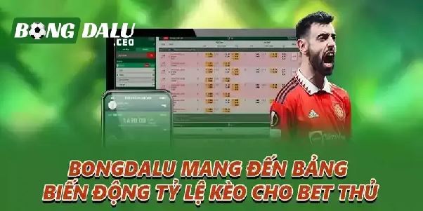 Link Vào Bongdalu: Cách Tìm Trang Theo Dõi Bóng Đá Ổn Định Link Vào Bongdalu: Cách Tìm Trang Theo Dõi Bóng Đá Ổn Định