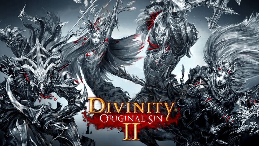 Divinity: Original Sin 2 - Definitive Edition cover
