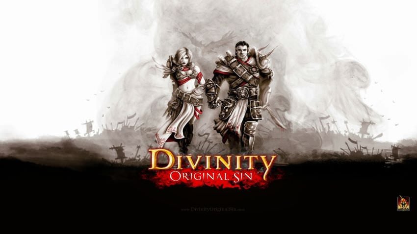 Divinity: Original Sin - Enhanced Edition cover