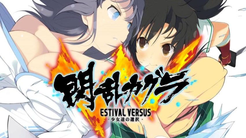 Senran Kagura Estival Versus cover