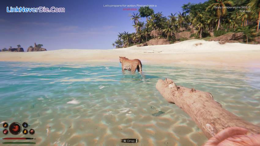 Hình ảnh trong game Project Castaway (screenshot) Hình ảnh trong game Project Castaway (screenshot)