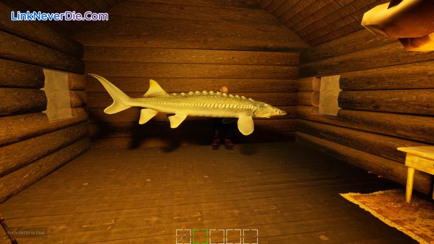 Hình ảnh trong game GONE Fishing (screenshot) Hình ảnh trong game GONE Fishing (screenshot)