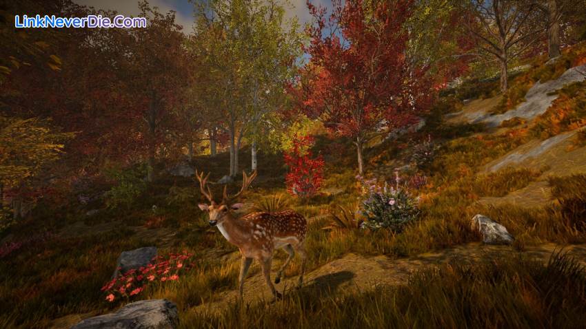 Hình ảnh trong game Rising World (screenshot) Hình ảnh trong game Rising World (screenshot)