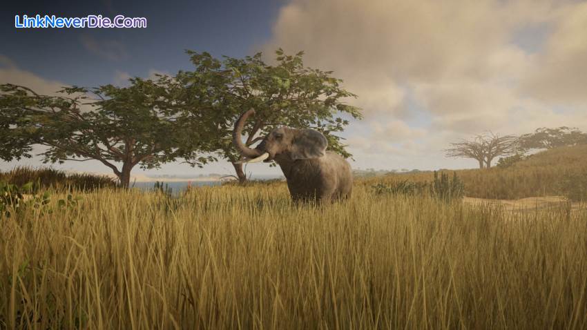 Hình ảnh trong game Rising World (screenshot) Hình ảnh trong game Rising World (screenshot)