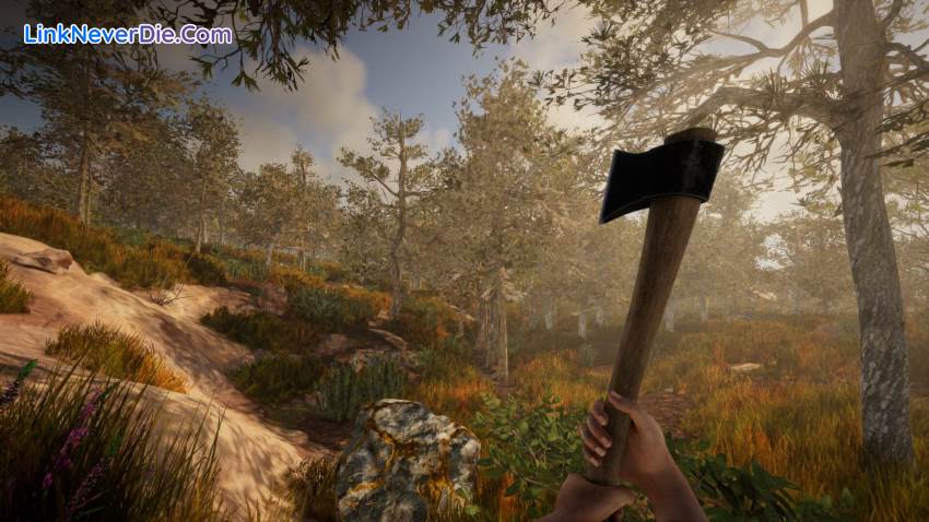 Hình ảnh trong game Rising World (screenshot) Hình ảnh trong game Rising World (screenshot)