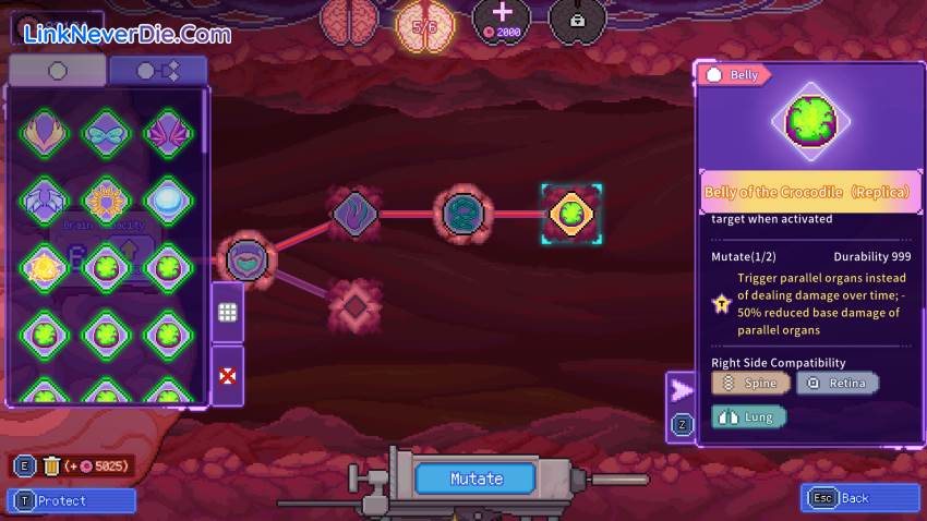 Hình ảnh trong game Bioweaver (screenshot) Hình ảnh trong game Bioweaver (screenshot)