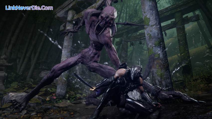 Hình ảnh trong game NINJA GAIDEN 4 (screenshot) Hình ảnh trong game NINJA GAIDEN 4 (screenshot)