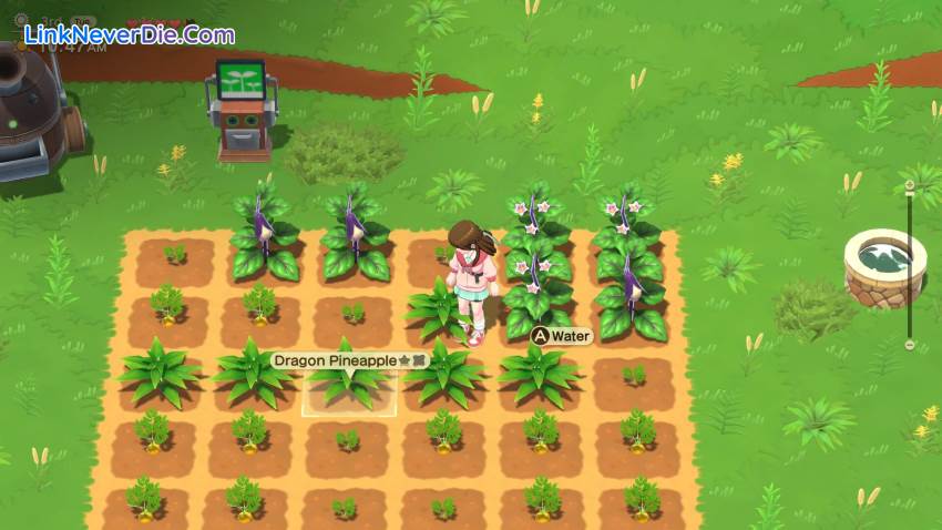 Hình ảnh trong game Harvest Moon: Home Sweet Home Special Edition (screenshot) Hình ảnh trong game Harvest Moon: Home Sweet Home Special Edition (screenshot)