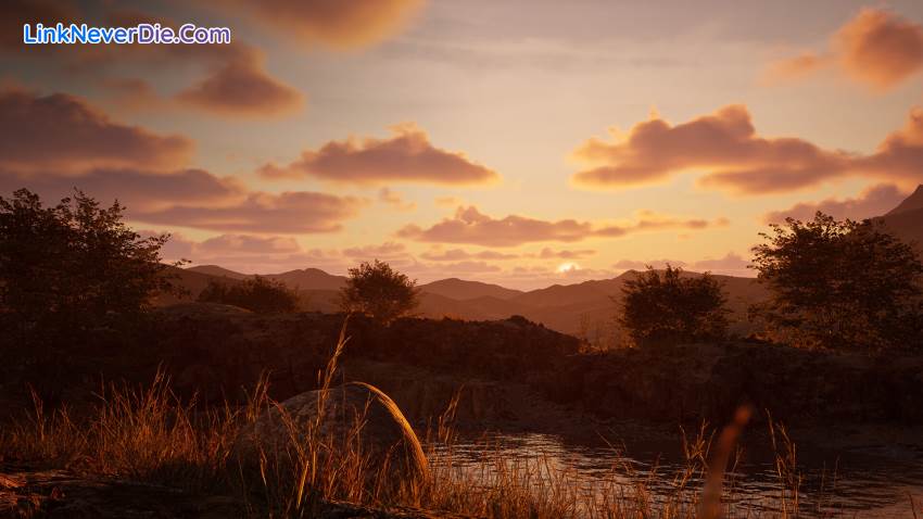 Hình ảnh trong game Stone Simulator – Just Be a Rock (screenshot)