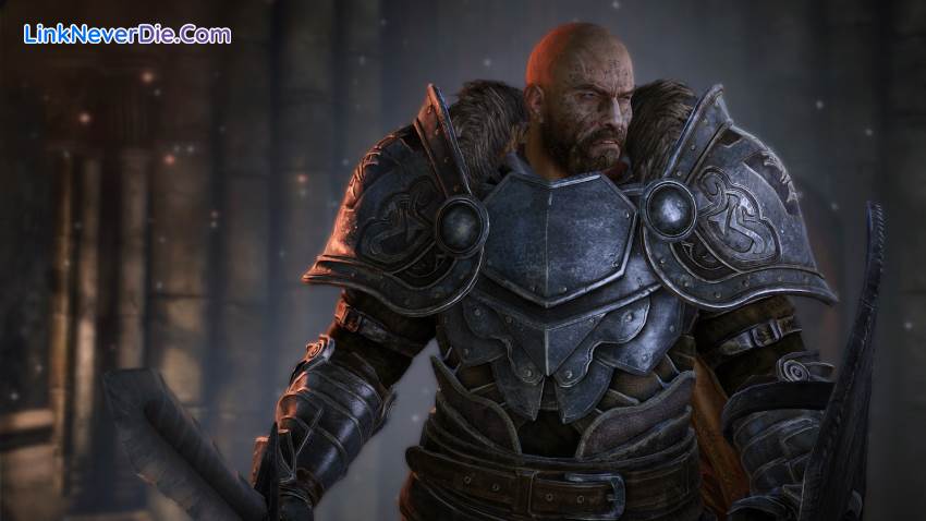 Hình ảnh trong game Lords Of The Fallen (screenshot)