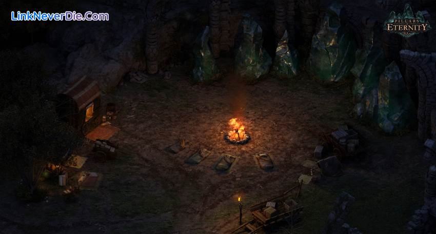 Hình ảnh trong game Pillars of Eternity Royal Edition (screenshot)