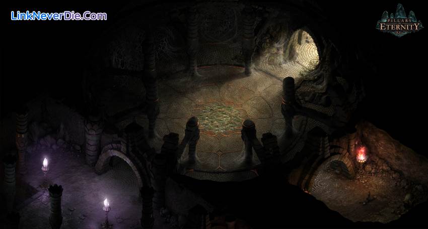Hình ảnh trong game Pillars of Eternity Royal Edition (screenshot)