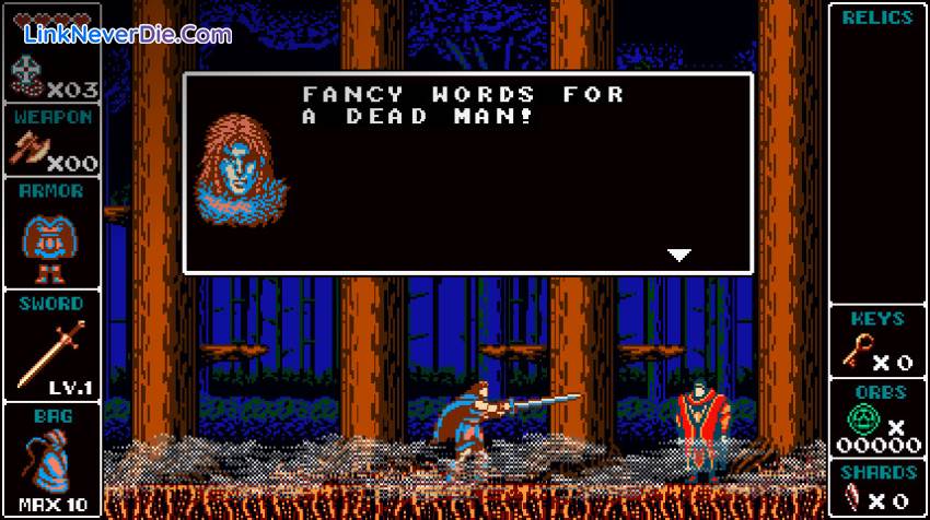 Hình ảnh trong game Odallus: The Dark Call (screenshot)