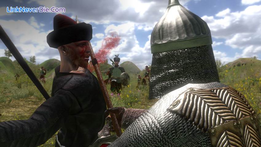 Hình ảnh trong game Mount & Blade: With Fire & Sword (screenshot)