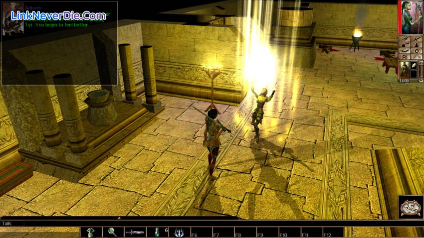 Hình ảnh trong game Neverwinter Nights - Diamond Edition (screenshot)