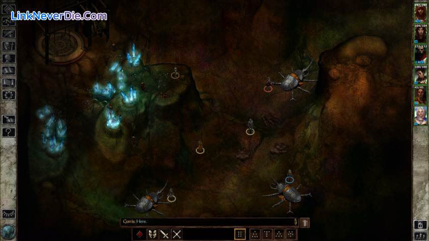 Hình ảnh trong game Icewind Dale Complete (screenshot)