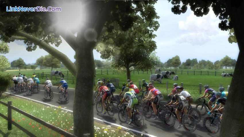 Hình ảnh trong game Pro Cycling Manager 2014 (screenshot)