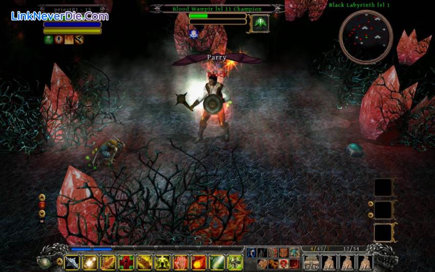 Hình ảnh trong game Din's Curse (screenshot)