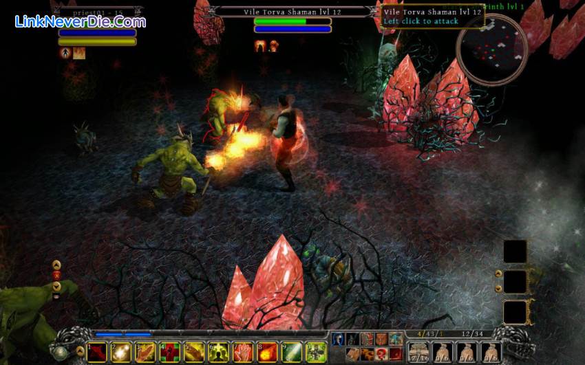 Hình ảnh trong game Din's Curse (screenshot)