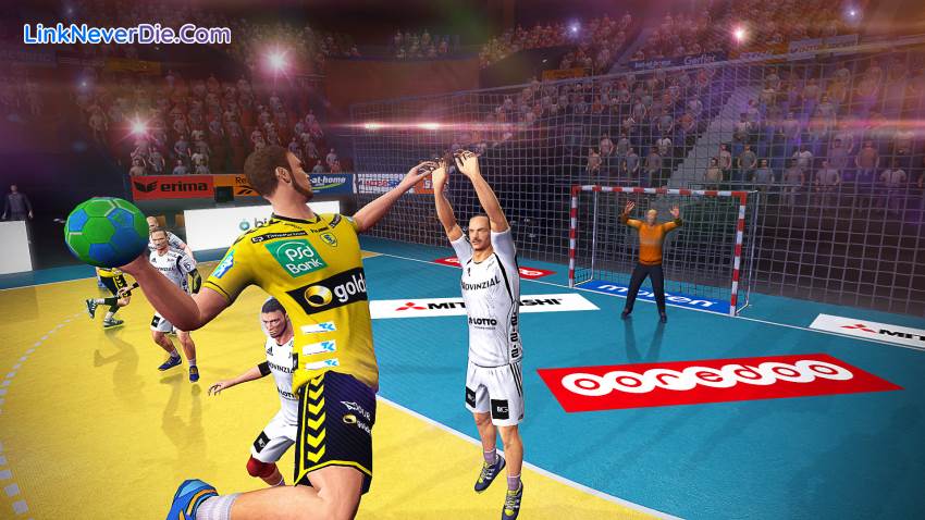 Hình ảnh trong game Handball 16 (screenshot)
