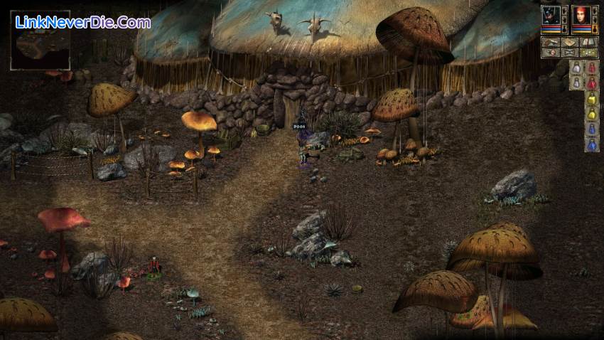 Hình ảnh trong game Beyond Divinity (screenshot)
