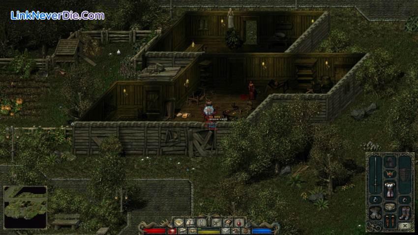 Hình ảnh trong game Divine Divinity (screenshot)