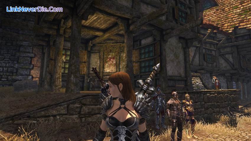 Hình ảnh trong game Divinity 2 (screenshot)