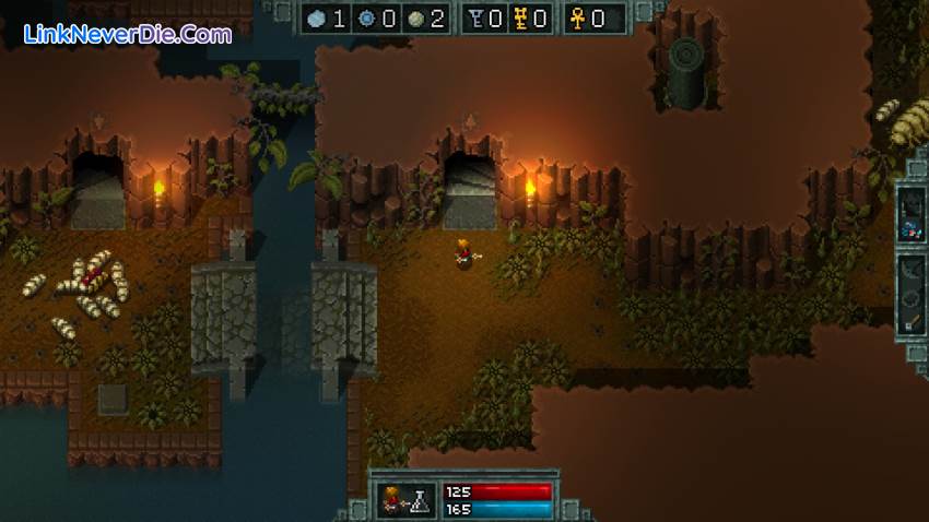Hình ảnh trong game Hammerwatch (screenshot)