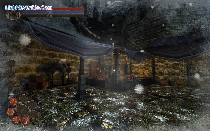 Hình ảnh trong game Ruzar - The Life Stone (screenshot)