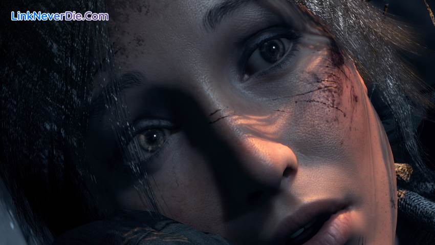 Hình ảnh trong game Rise Of The Tomb Raider (screenshot)