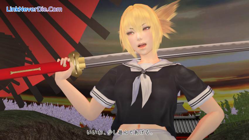 Hình ảnh trong game Mitsurugi Kamui Hikae (screenshot)