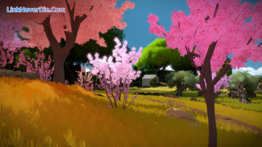 Hình ảnh trong game The Witness (screenshot)