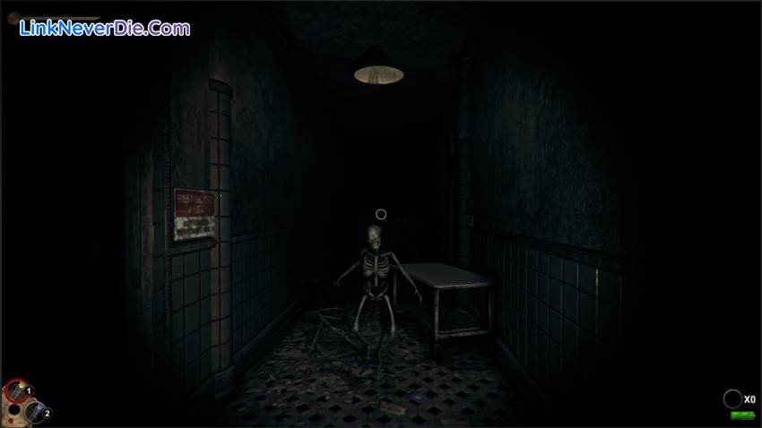 Hình ảnh trong game Horror in the Asylum (screenshot)