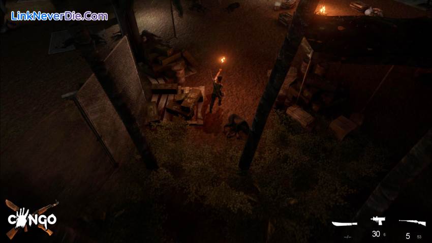 Hình ảnh trong game Congo (screenshot)