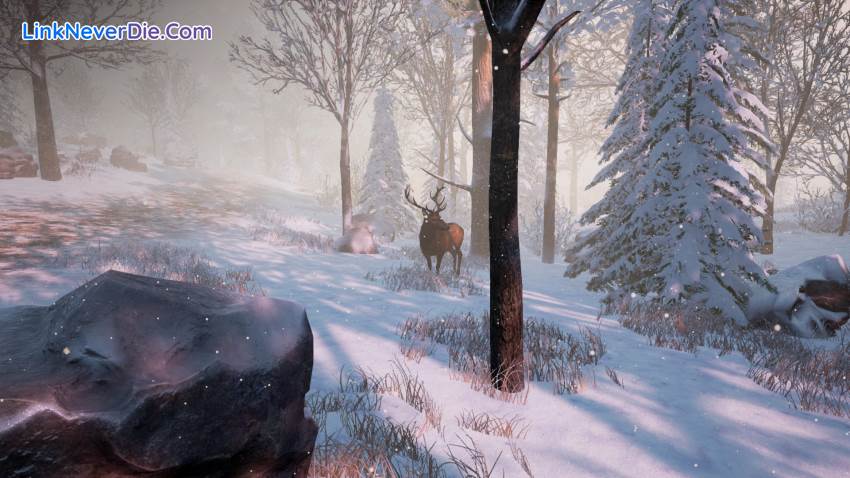 Hình ảnh trong game Bottle (screenshot)