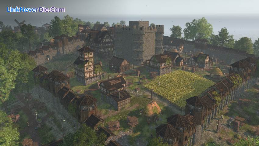 Hình ảnh trong game Life is Feudal: Forest Village (screenshot)