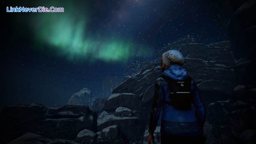 Hình ảnh trong game Through the Woods Collector’s Edition (screenshot)