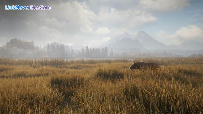 Hình ảnh trong game theHunter: Call of the Wild (screenshot)