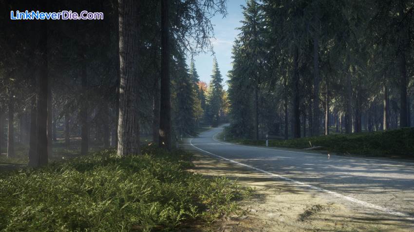 Hình ảnh trong game theHunter: Call of the Wild (screenshot)