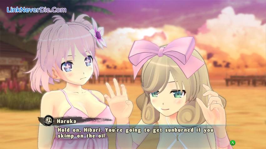 Hình ảnh trong game Senran Kagura Estival Versus (screenshot)